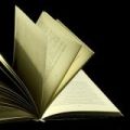 Promoci&oacute;n de la literatura africana