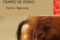 Qu&eacute; leer