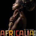 Africalia 2010