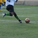 Fútbol: Copa de África de la Federación de Asociaciones Africanas en Canarias. Cada sábado a las 16.00h hasta el 2 de noviembre en Las Palmas de Gran Canaria