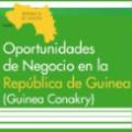Oportunidades de negocio en la República de Guinea (Guinea Conakry)