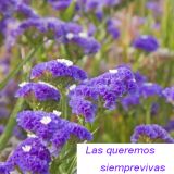 Exposición: Mujeres que rompieron el silencio. En la Biblioteca Municipal de Santa Brígida, Gran Canaria, del 18 al 30 de noviembre