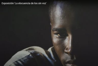 Exposición 'La elocuencia de los sin voz'