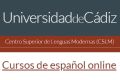Cursos de español on line