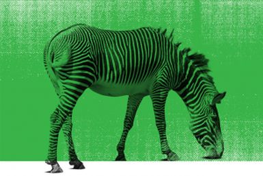 Covid-19 y cambio climático