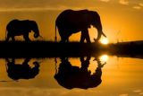 Africa Tourism Monitor 2015