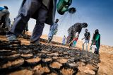 Blog África Vive. El Niño enciende la alerta por inseguridad alimentaria en África