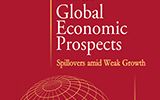 Global Economic Prospects 2016