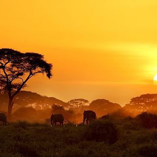 Contar África desde Europa