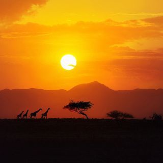 Innovation 4 Africa