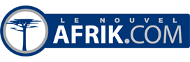 Afrik.com
