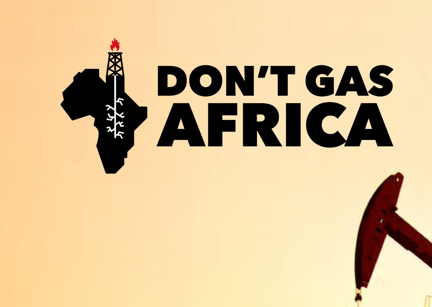 Don't Gas Africa