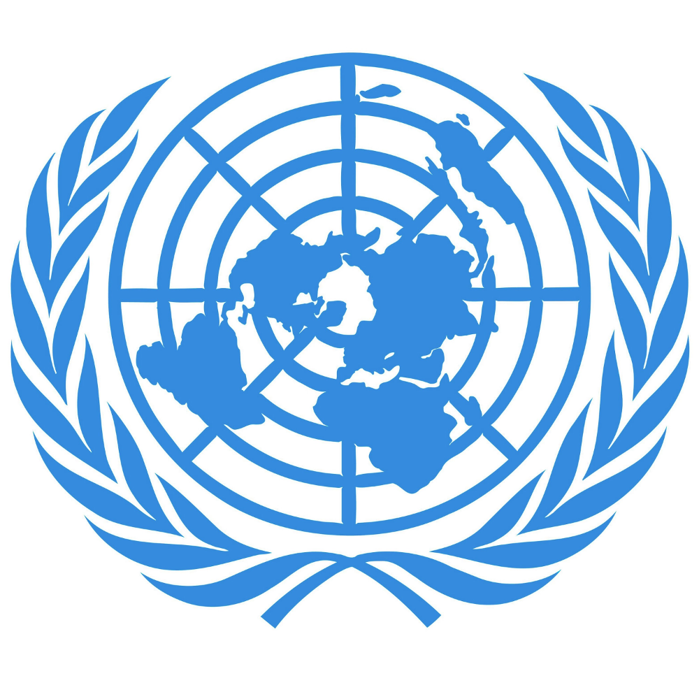 Naciones Unidas