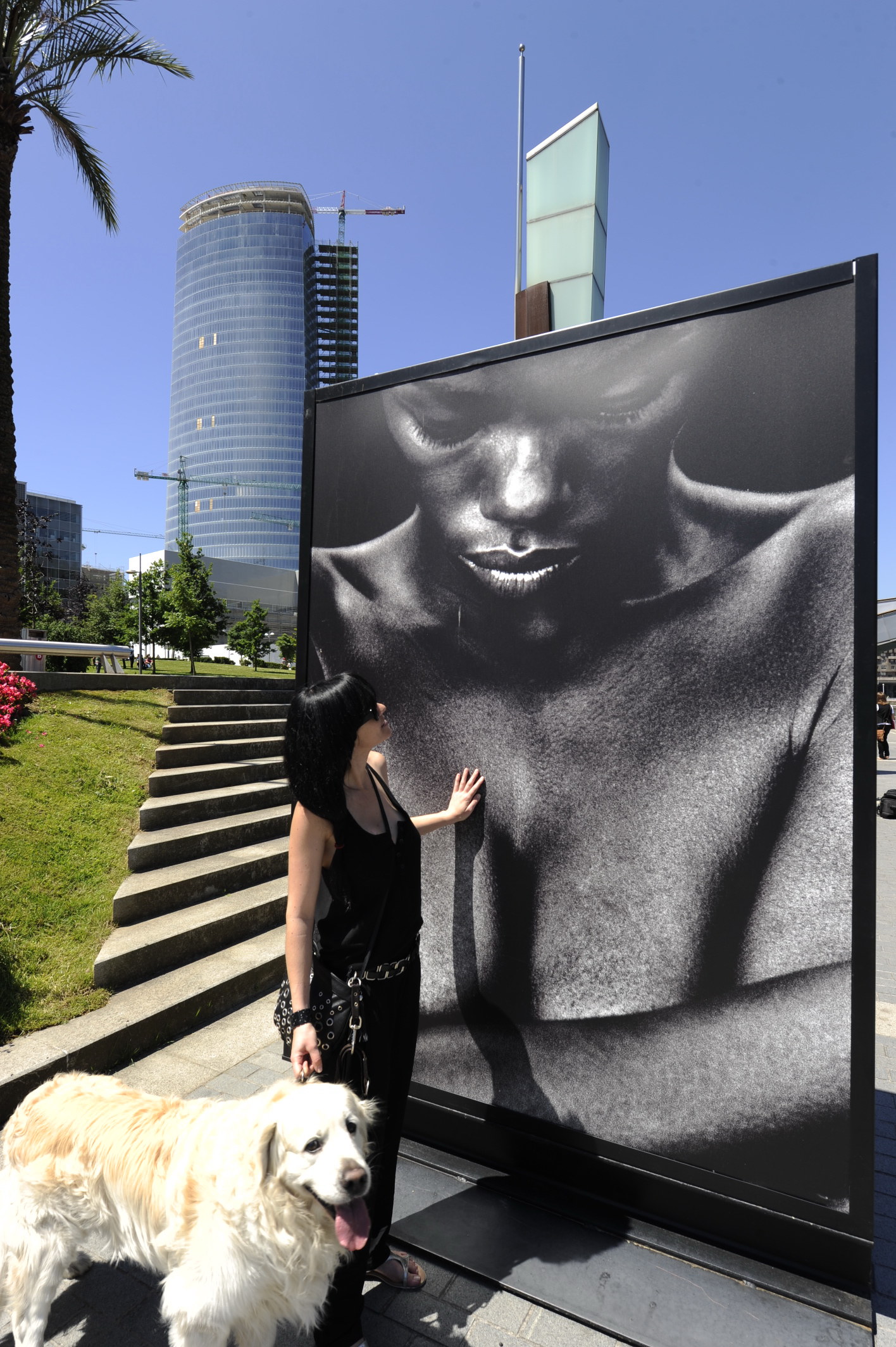 10. Vista de la exposición en calle