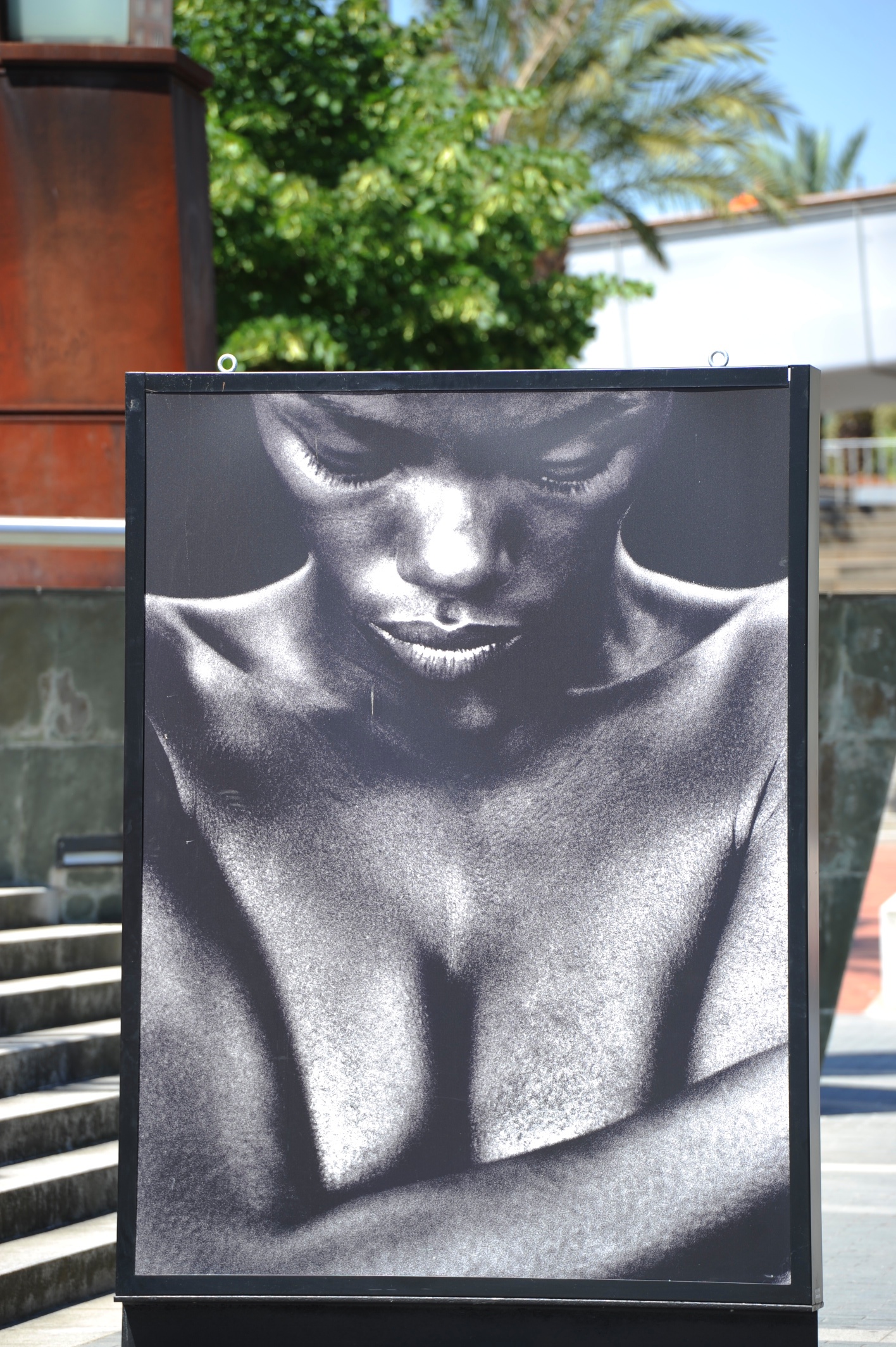 29. Vista de la exposición en calle