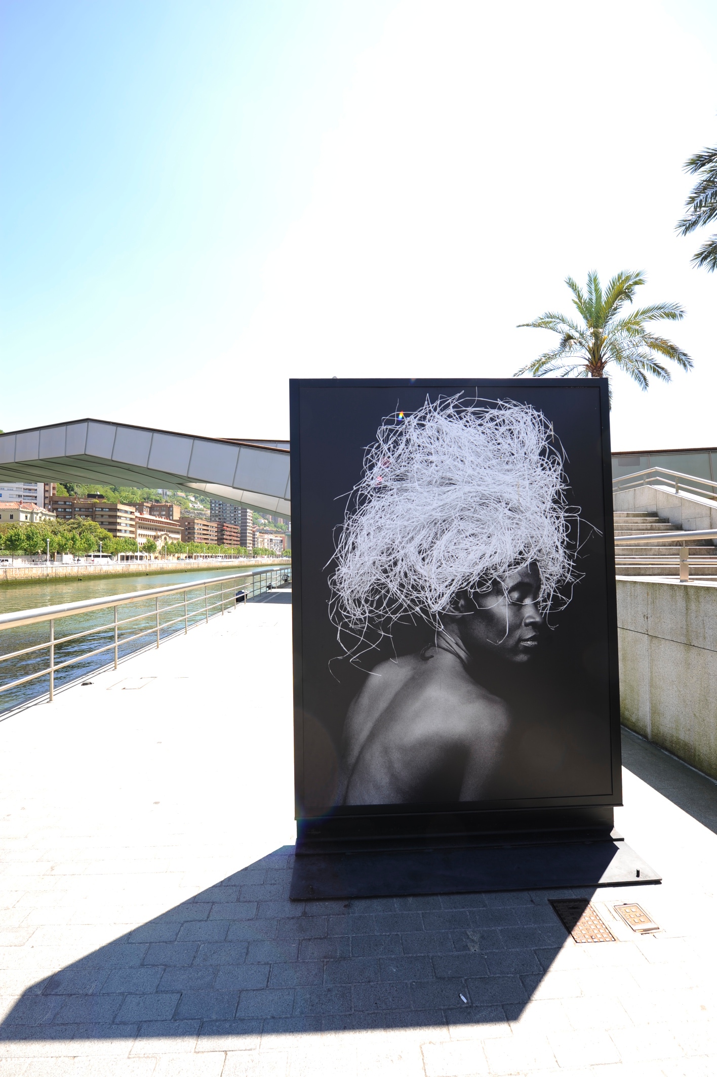 71. Vista de la exposición en calle
