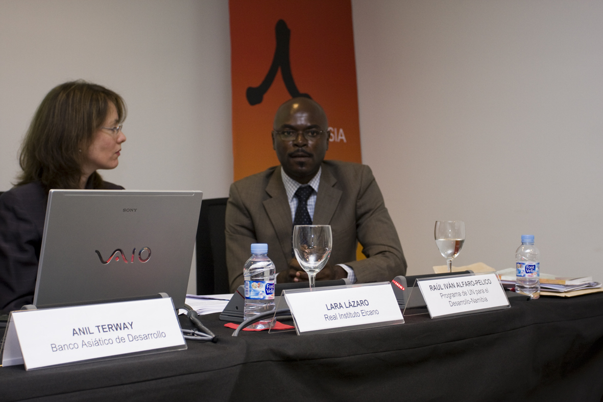 5. Intervención de Raúl Iván Alfaro-Peluco, programa UN para el desarrollo de Namibia
