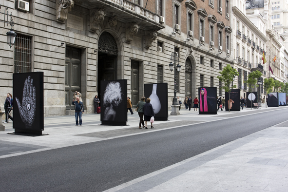 22. Exposición Desvelos en Madrid