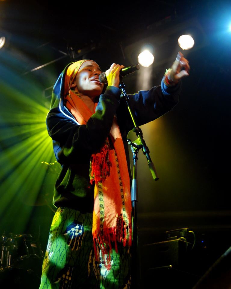 14. Nneka en concierto