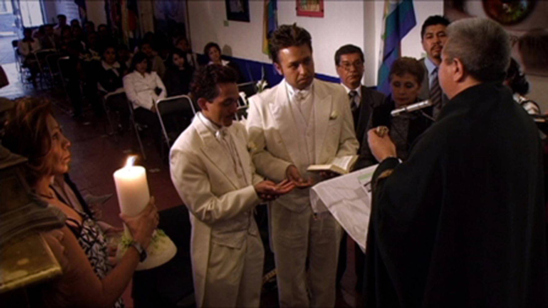 7. Fotograma 'Blattangelus'