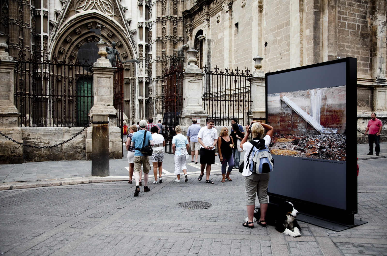 8. Exposición África.ES en Sevilla