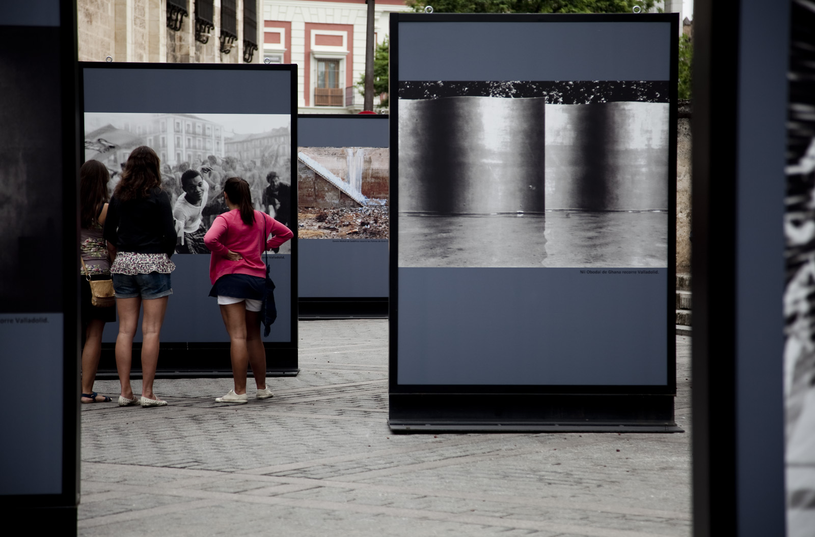 19. Exposición África.ES en Sevilla