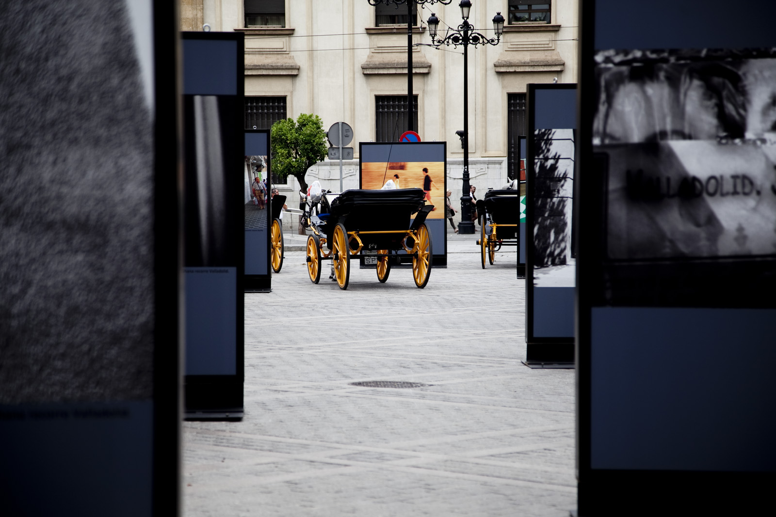20. Exposición África.ES en Sevilla