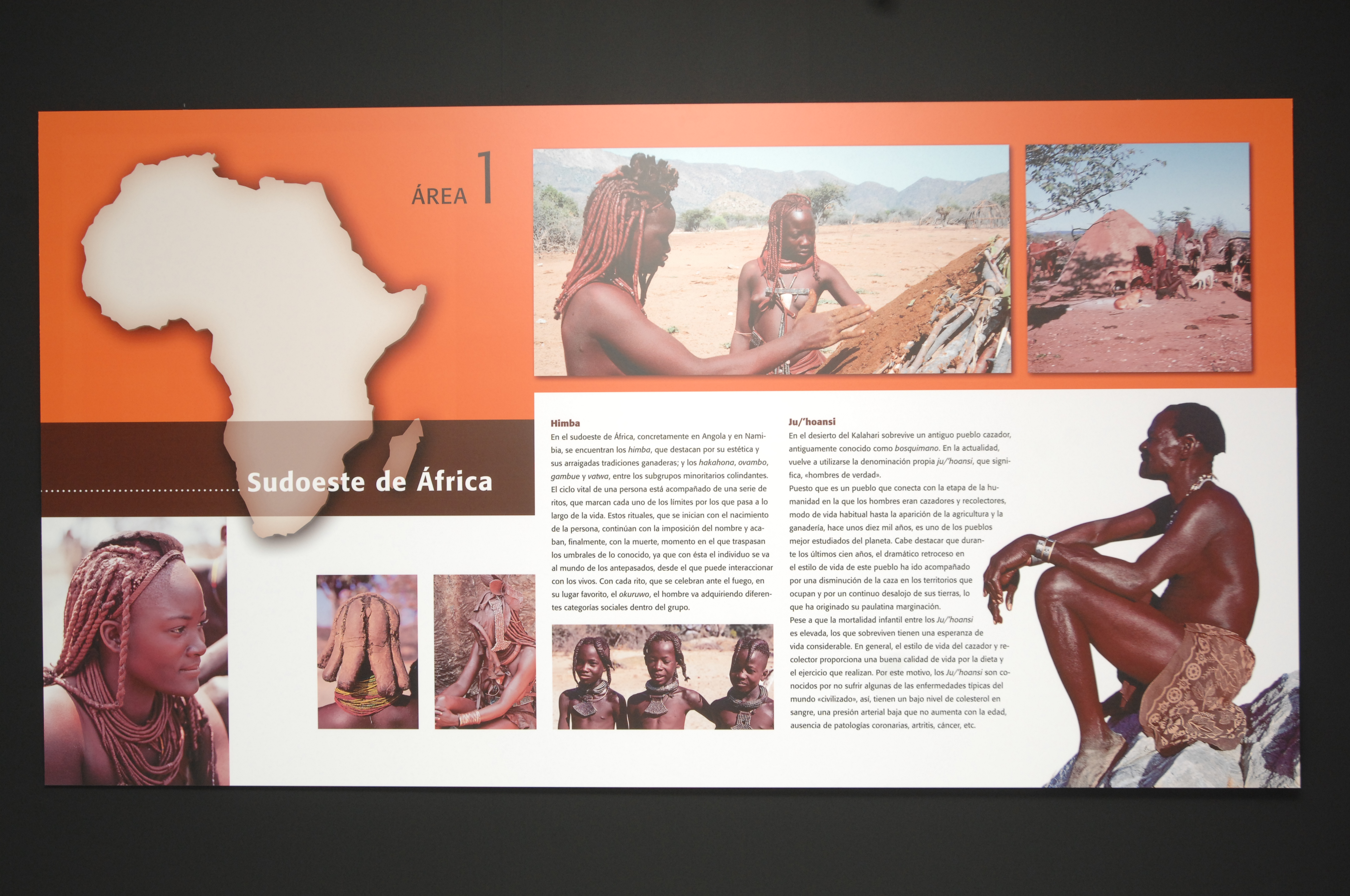 2. Exposición El Arte de Vivir
