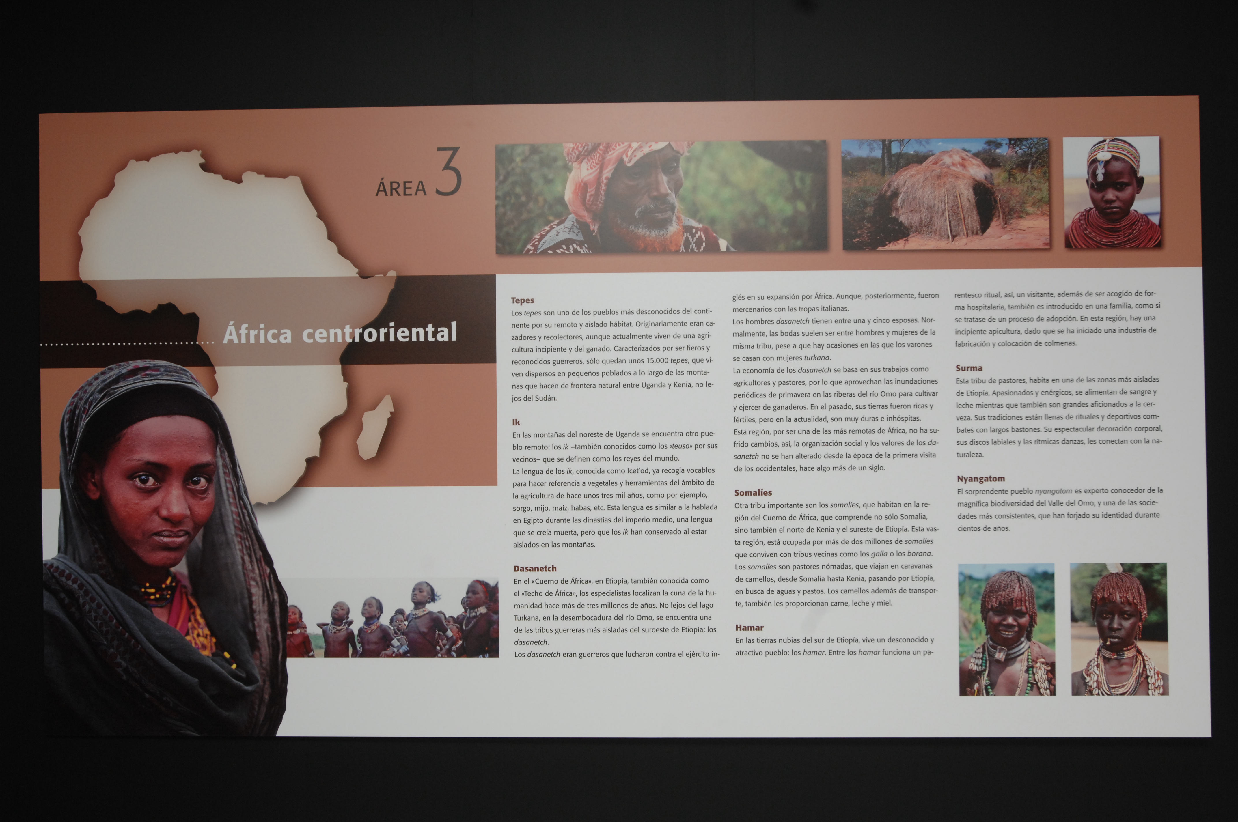 3. Exposición El Arte de Vivir