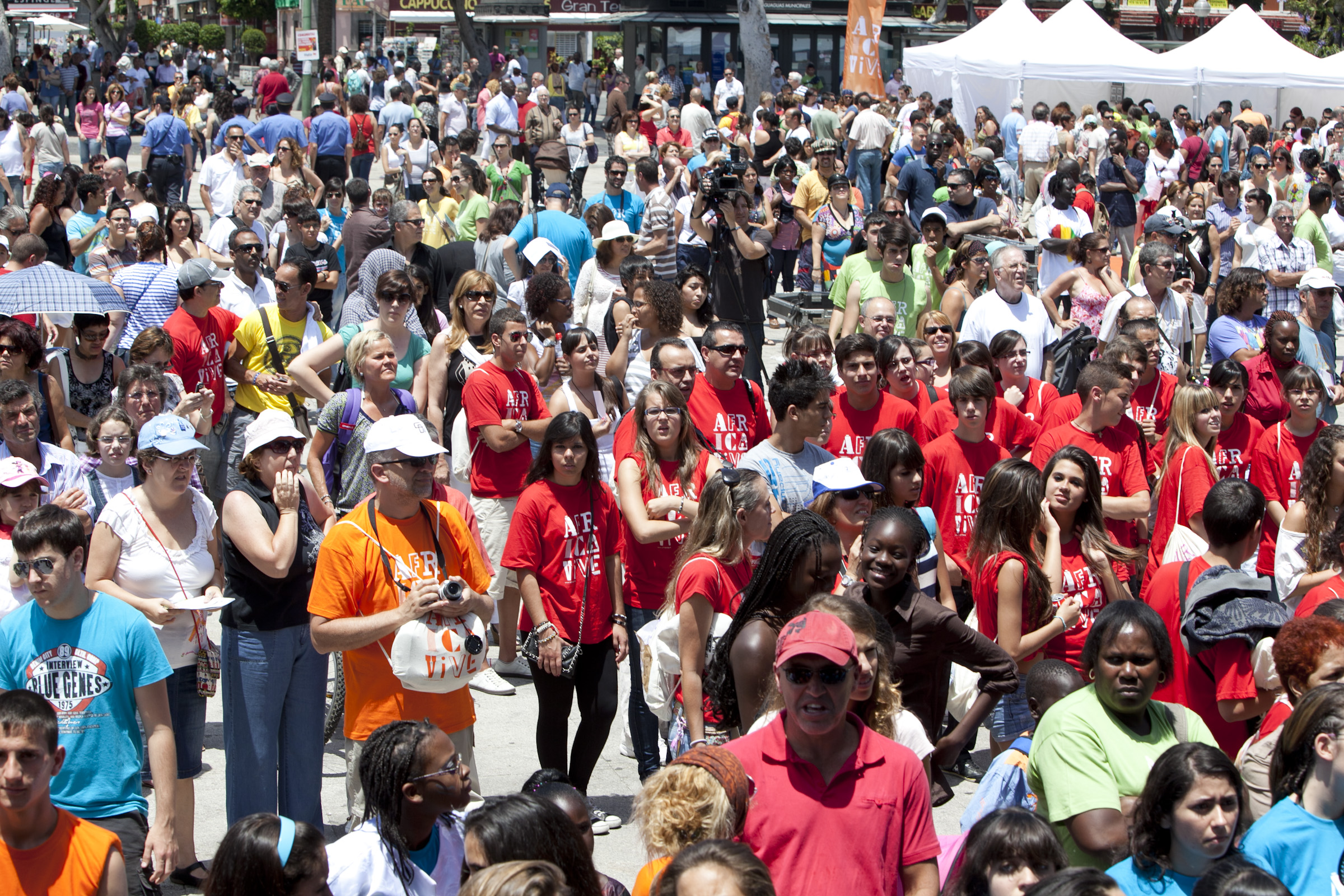 31. Fiesta África Vive 2011