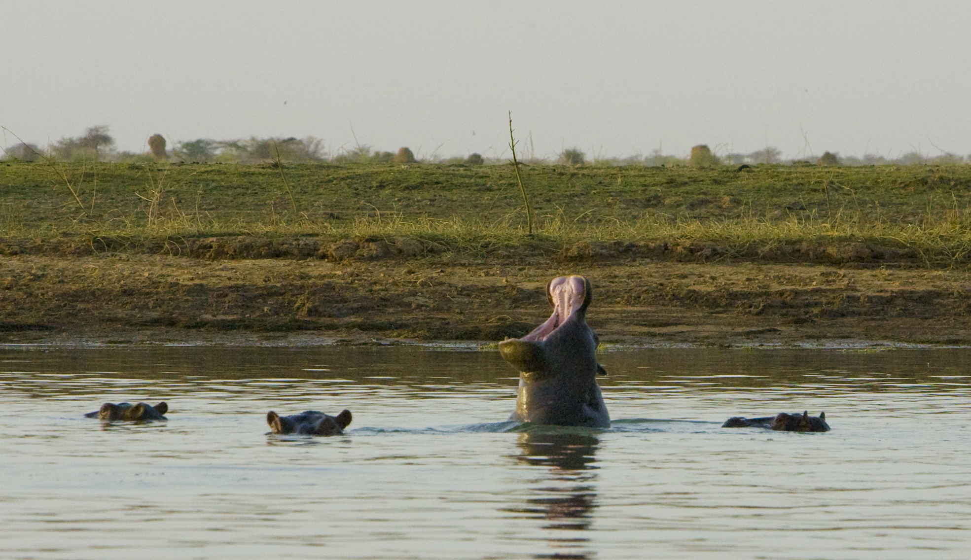 23. De Segú a Tombuctú. Un viaje por el río Níger, por Mario Vega (2010)