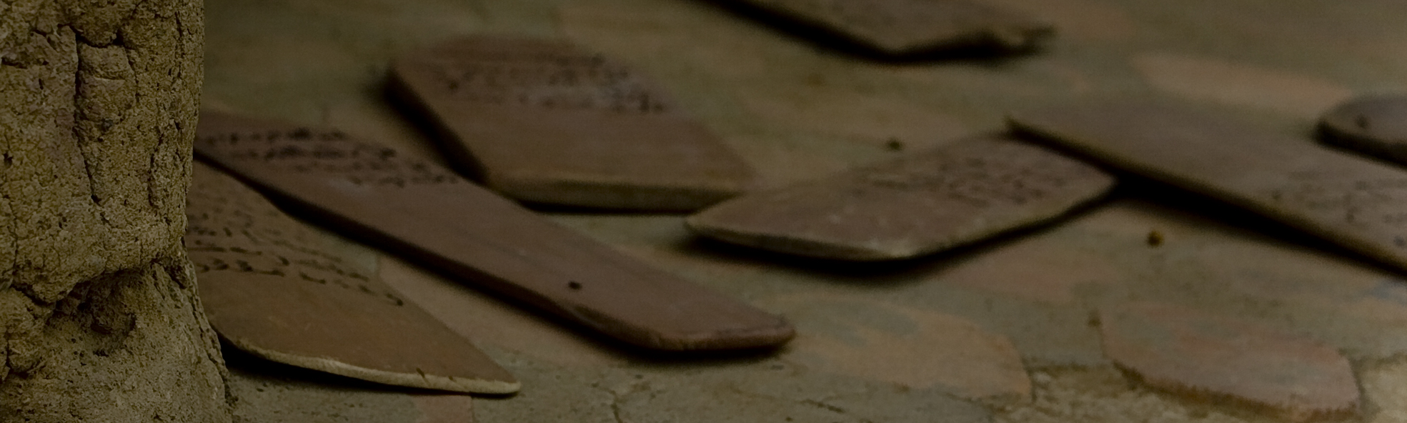 31. De Segú a Tombuctú. Un viaje por el río Níger, por Mario Vega (2010)