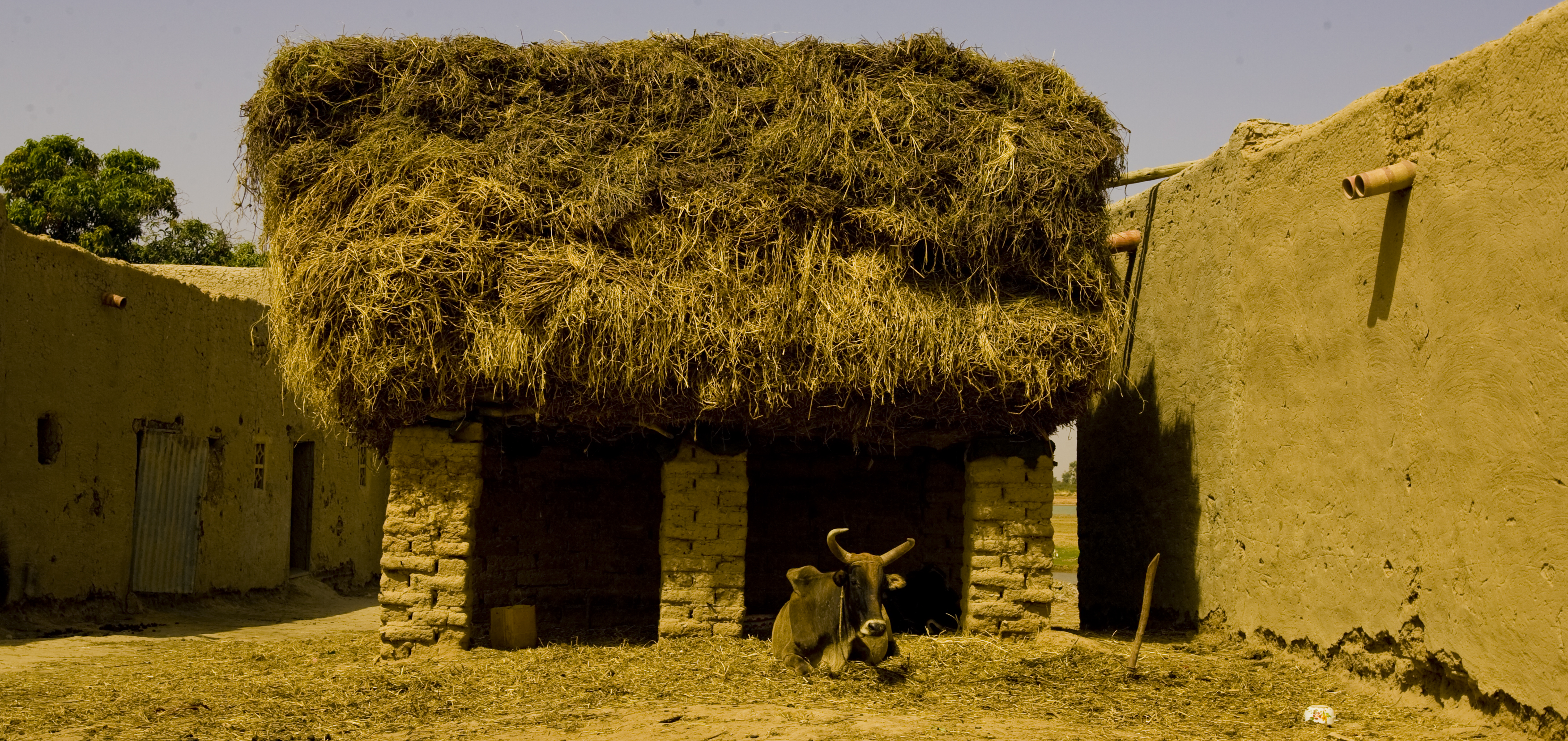 83. De Segú a Tombuctú. Un viaje por el río Níger, por Mario Vega (2010)