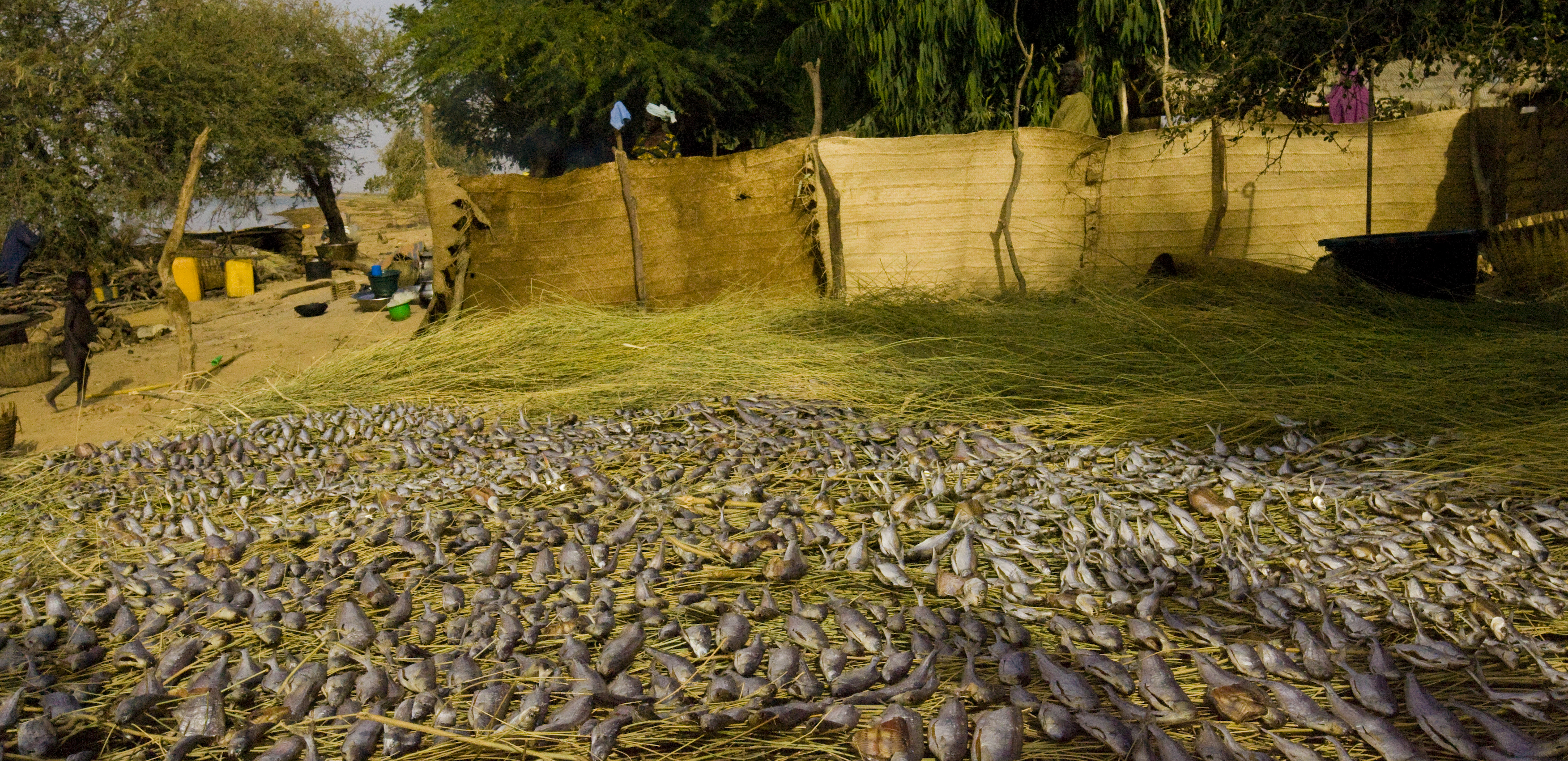 101. De Segú a Tombuctú. Un viaje por el río Níger, por Mario Vega (2010)