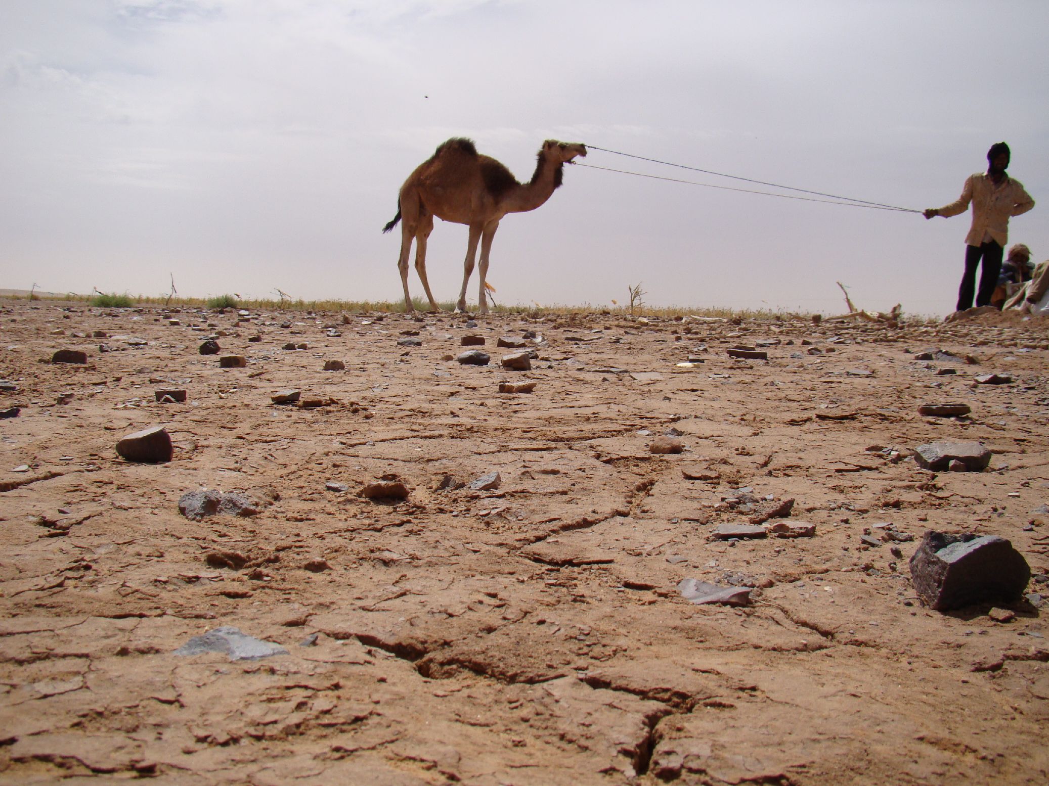 1.	Imágenes de Adrar (Atar-Ouadane- Chinguetti, Mauritania)