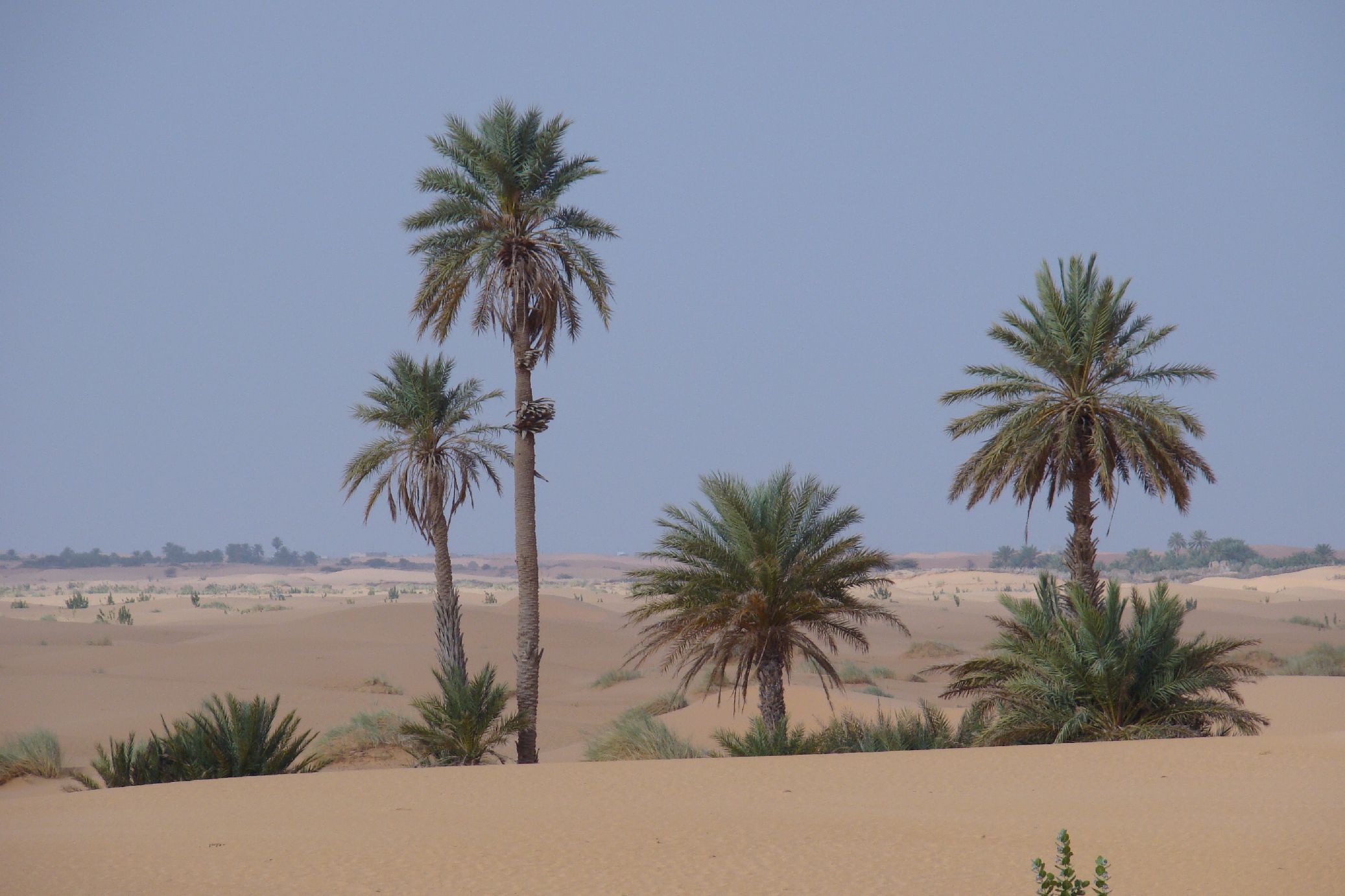 4.	Imágenes de Adrar (Atar-Ouadane- Chinguetti, Mauritania)