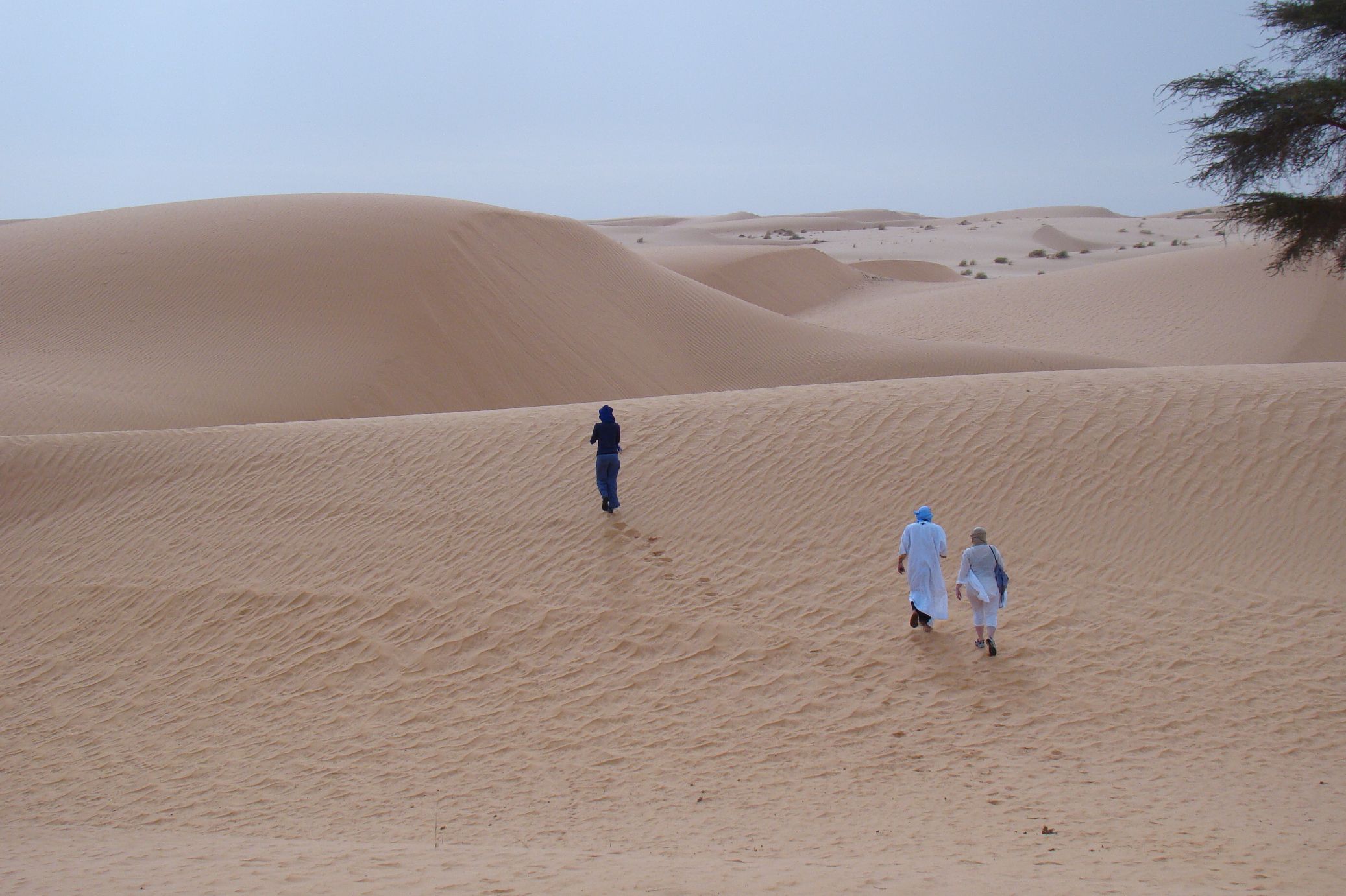 5.	Imágenes de Adrar (Atar-Ouadane- Chinguetti, Mauritania)