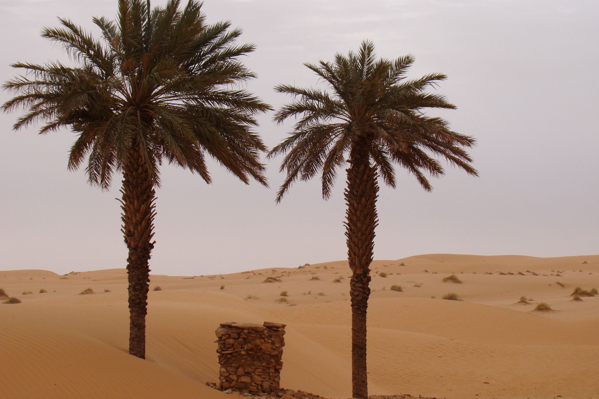 9.	Imágenes de Adrar (Atar-Ouadane- Chinguetti, Mauritania)