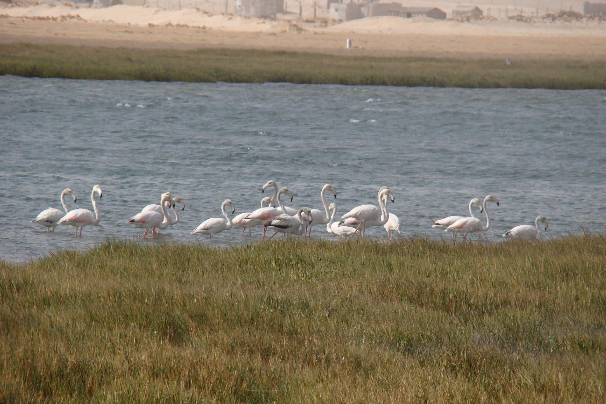 32. Imágenes de Nouadhibou, Mauritania