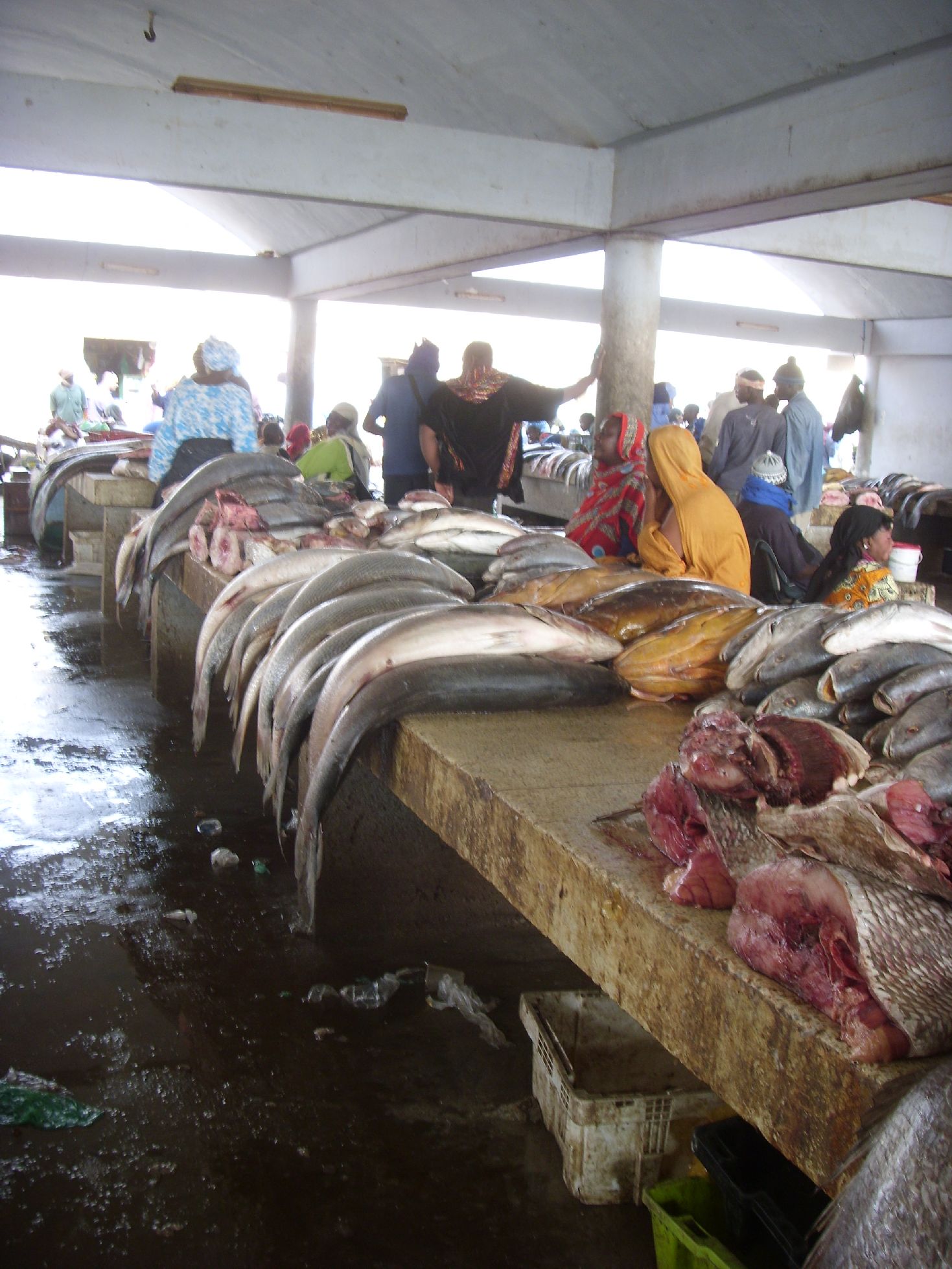 85. Imágenes del Puerto de Pesca de Nouakchott (Mauritania)