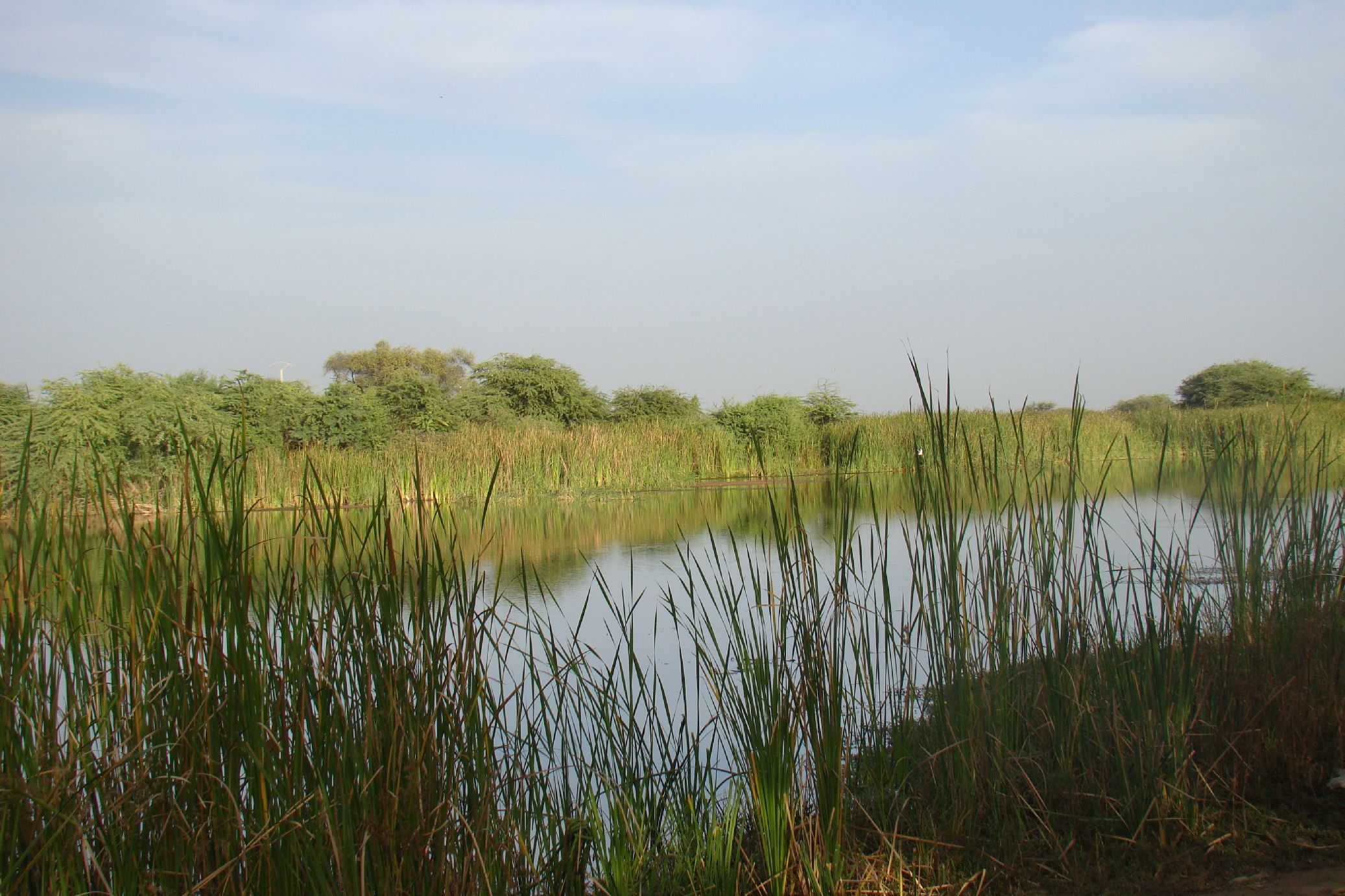 94. Imágenes del Parque Nacional Diawling en Mauritania