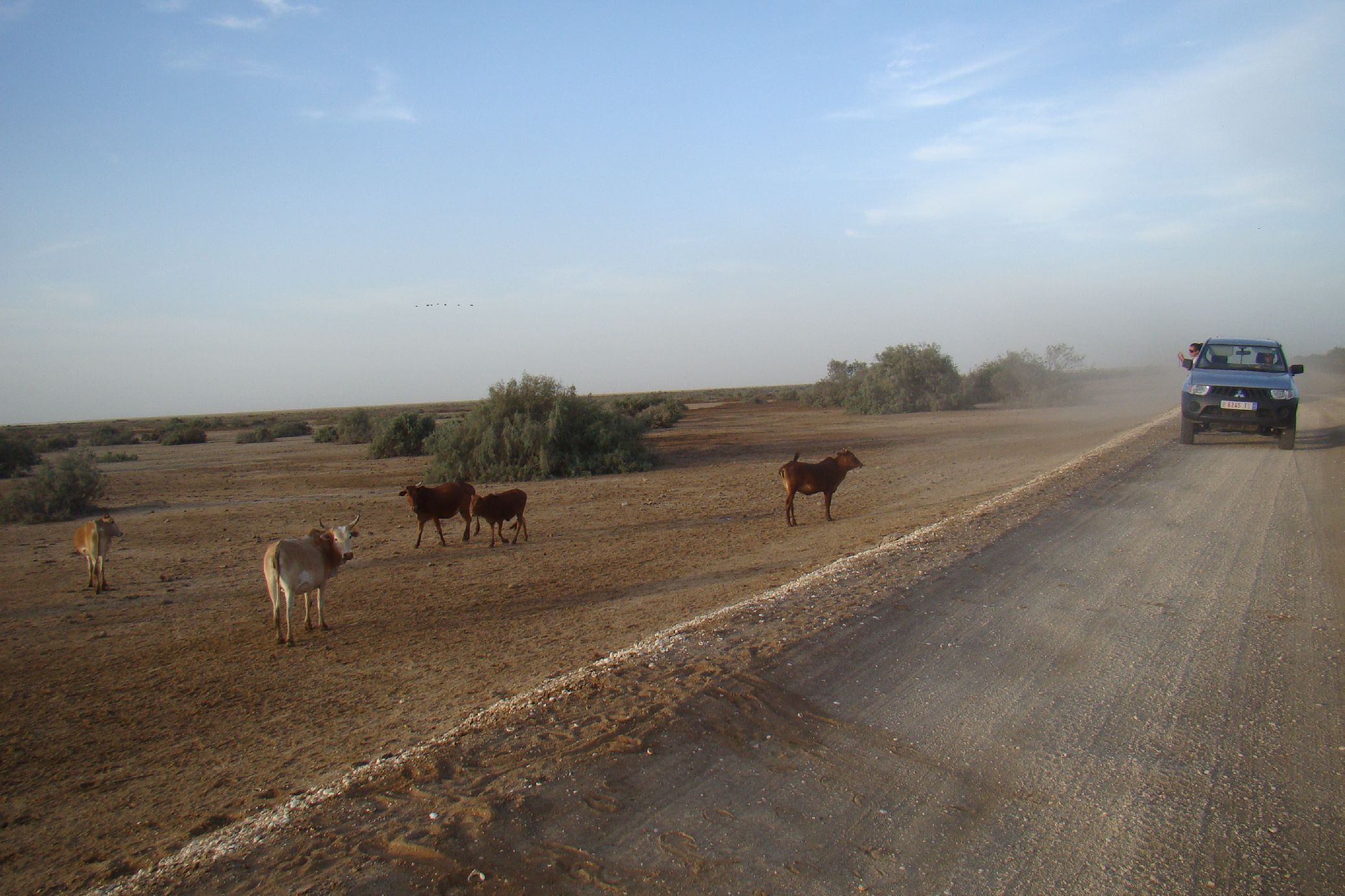 95. Imágenes del Parque Nacional Diawling en Mauritania