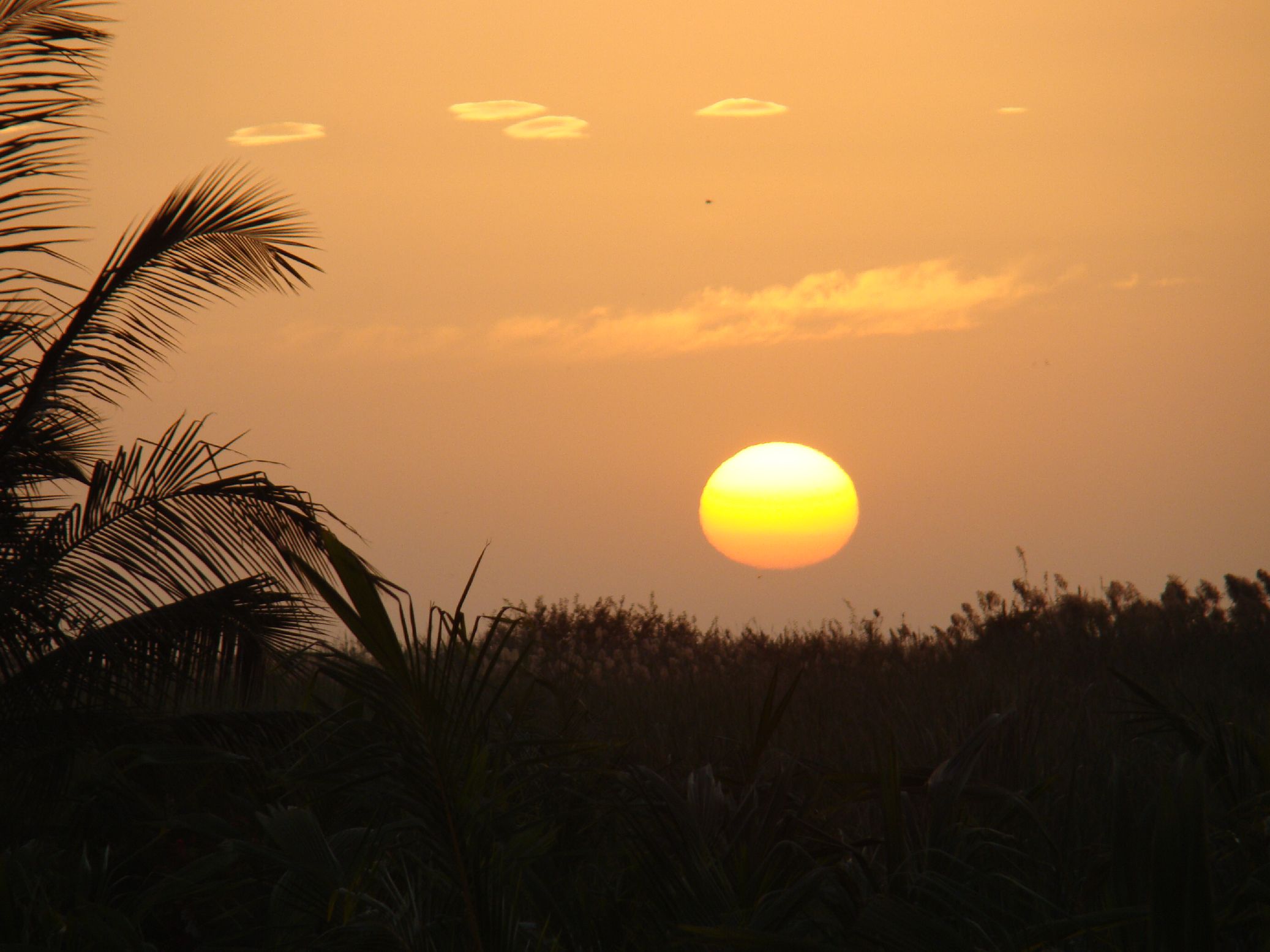 97. Imágenes del Parque Nacional Diawling en Mauritania