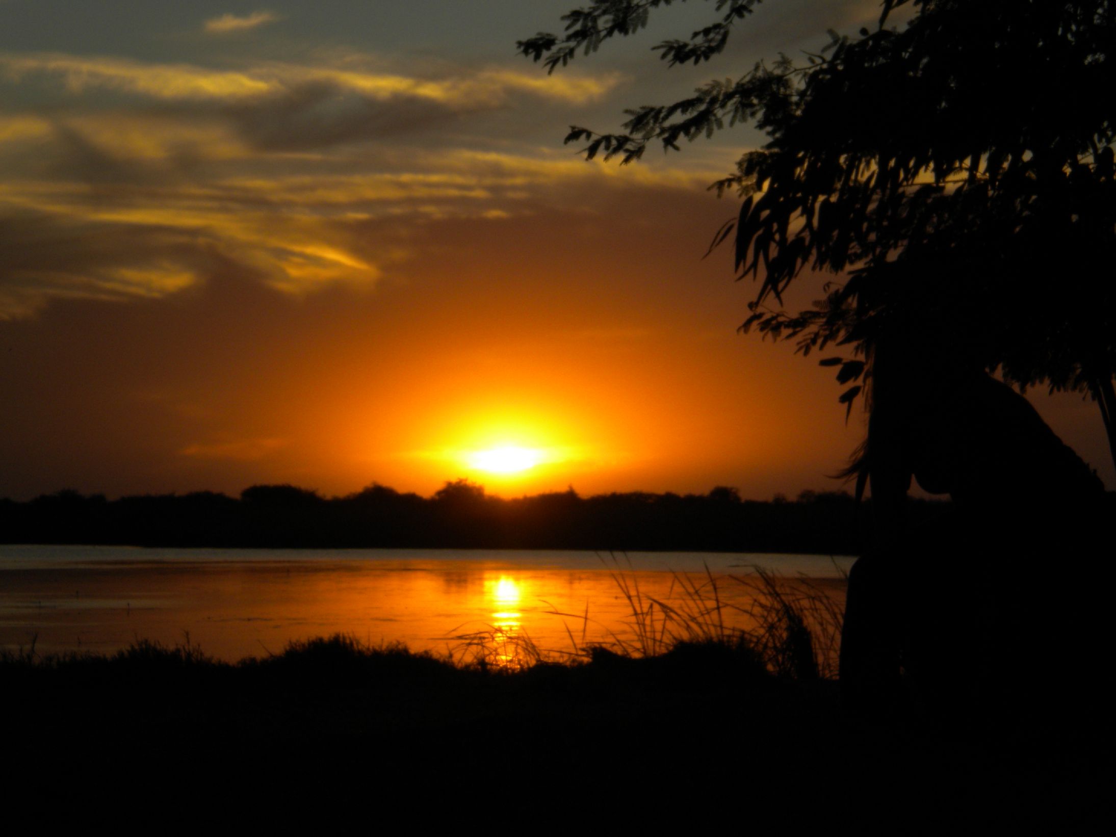 109. Imágenes del Parque Nacional Diawling en Mauritania
