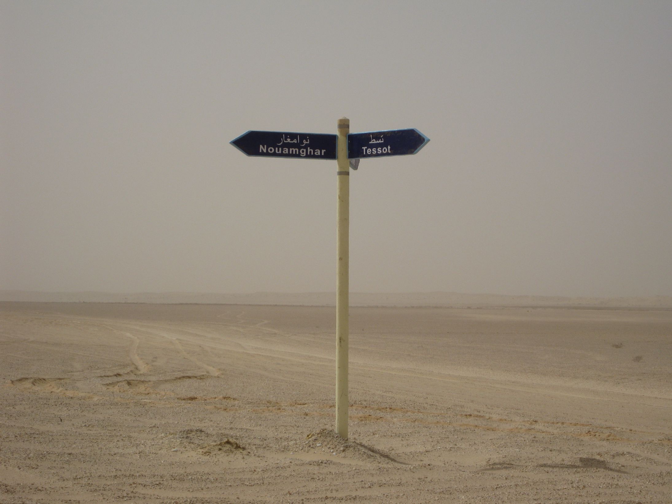 111. Imágenes del Parque Nacional Banc d'Arguin en Mauritania
