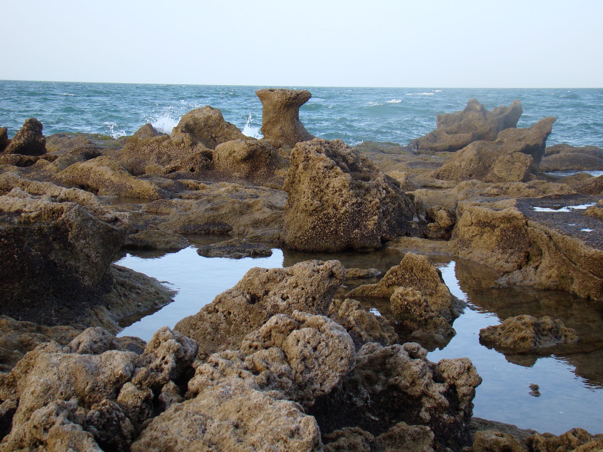 113. Imágenes del Parque Nacional Banc d'Arguin en Mauritania