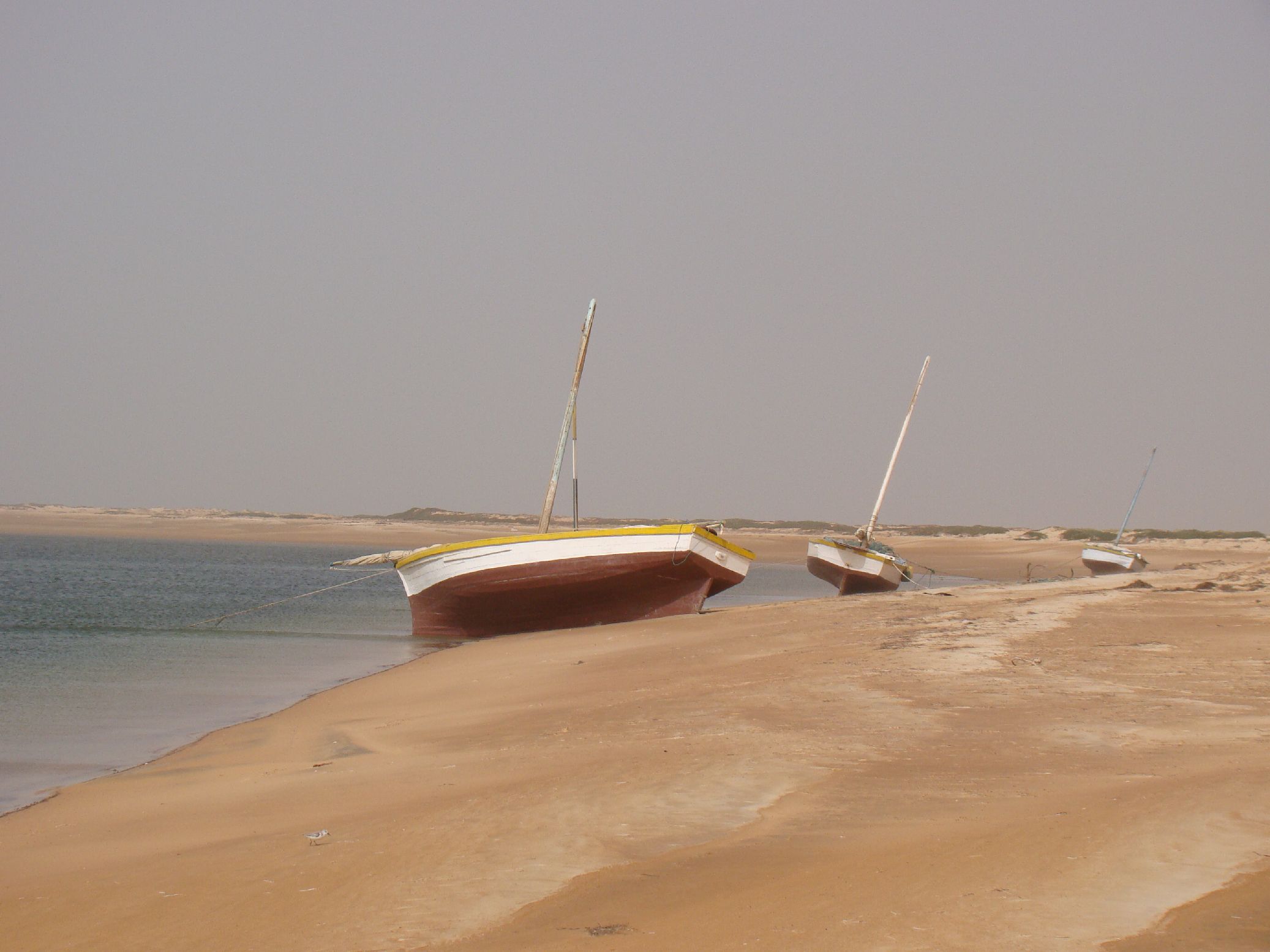 116. Imágenes del Parque Nacional Banc d'Arguin en Mauritania