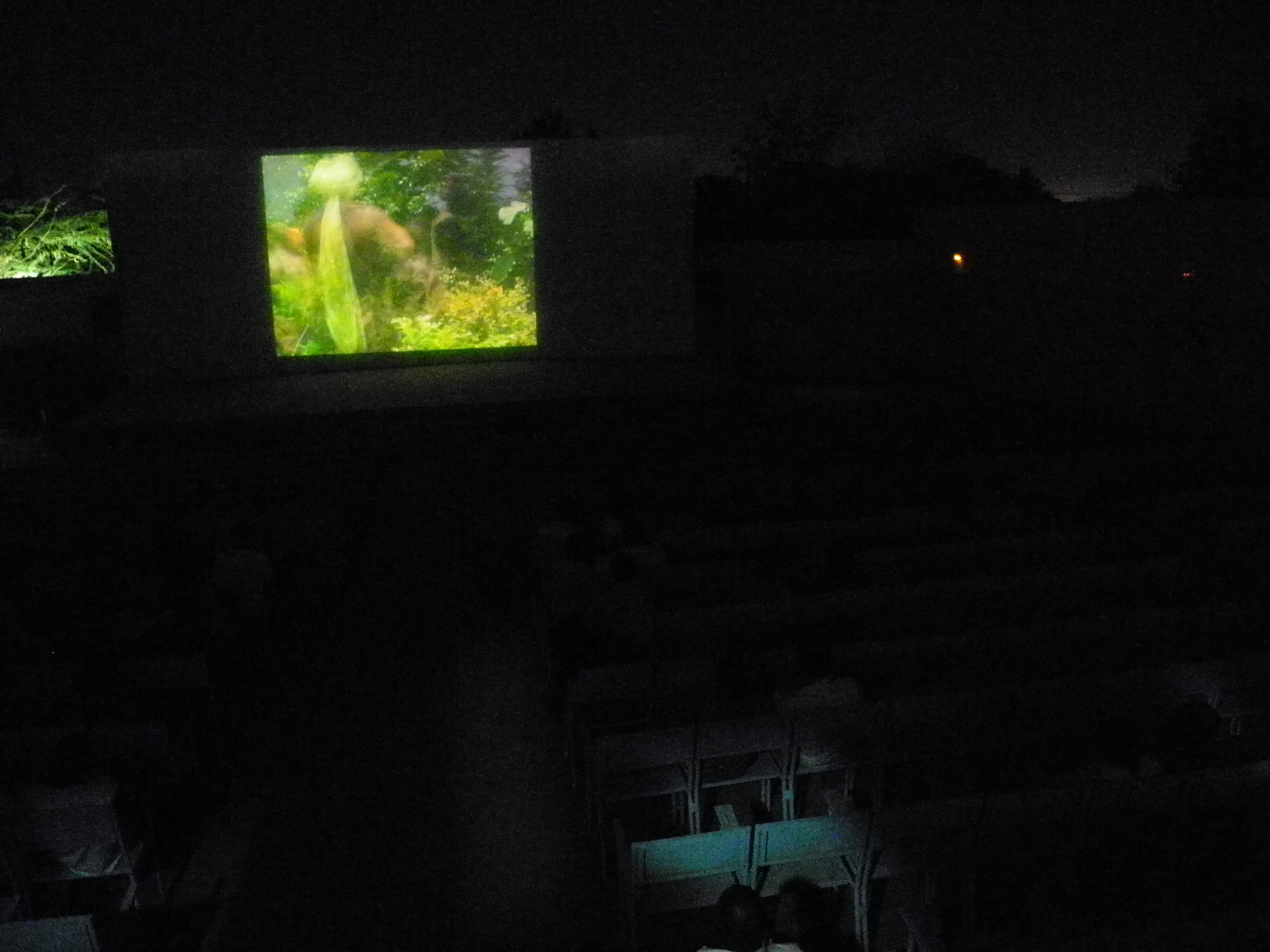 34. Imágenes del Cine Móvil en FESPACO, 2011