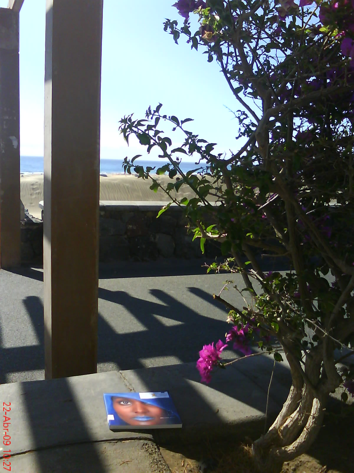 5. Fuga de libros: Bookcrossing