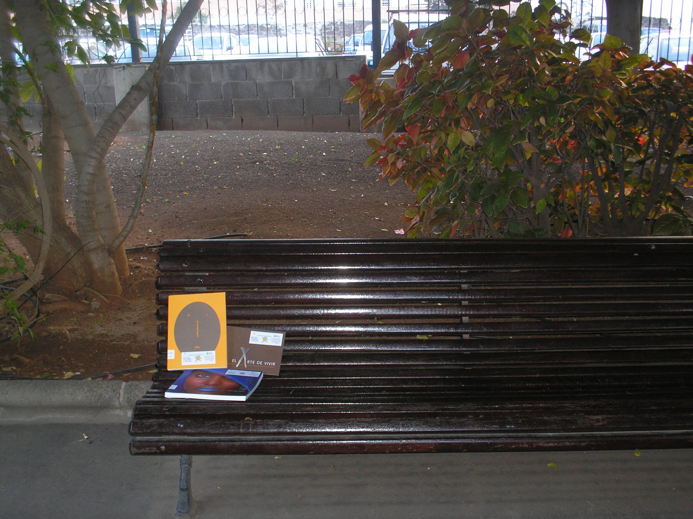 10. Fuga de libros: Bookcrossing